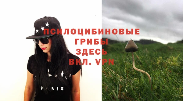 ешки Новозыбков