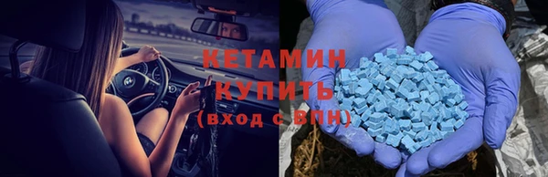 ешки Новозыбков