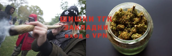 ешки Новозыбков