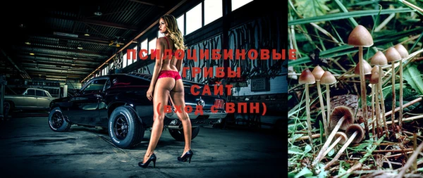 марки nbome Новодвинск