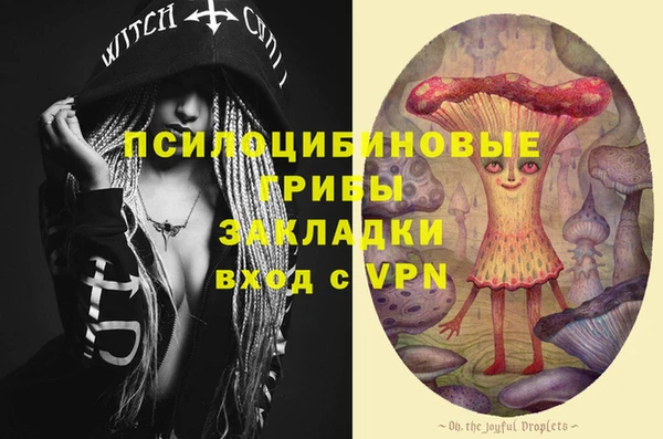 ешки Новозыбков