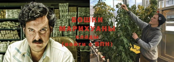 ешки Новозыбков